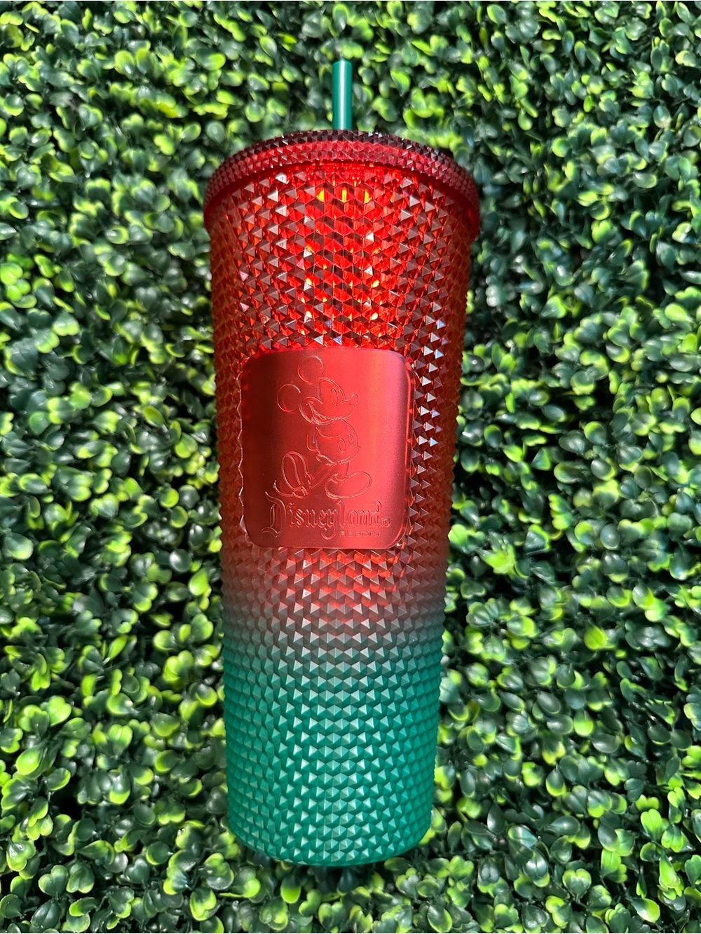 2022 Disneyland x Starbucks Venti Tumbler